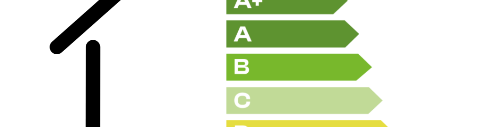 Foto 2 en verder (11)